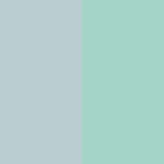Menta & Cinza